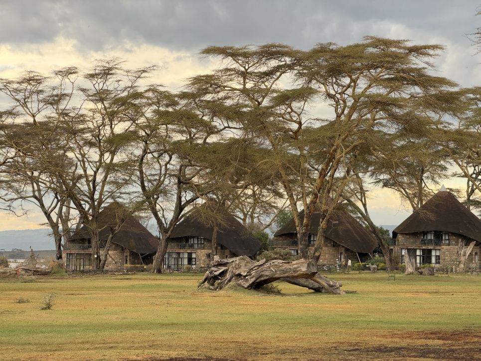 Chapter 8: Sopa Resort, Lake Naivasha