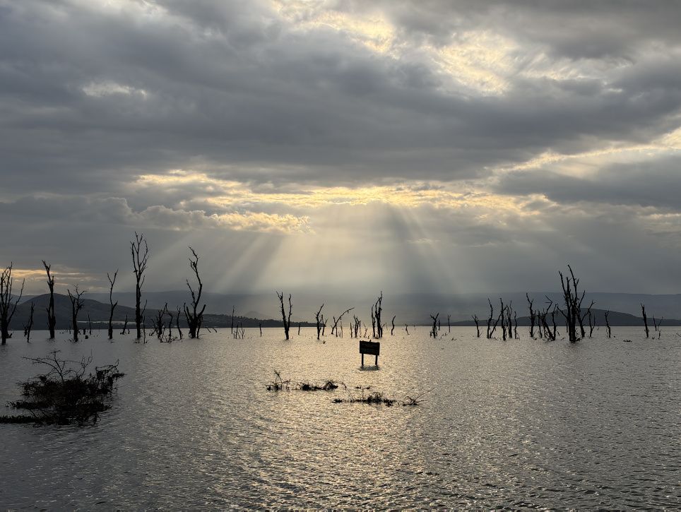 Chapter 8: Sopa Resort, Lake Naivasha