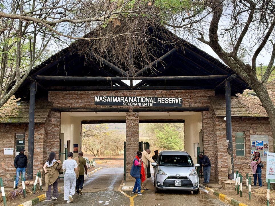 Chapter 12: Our First Safari