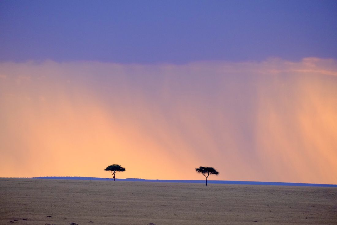 Chapter 12: Our First Safari