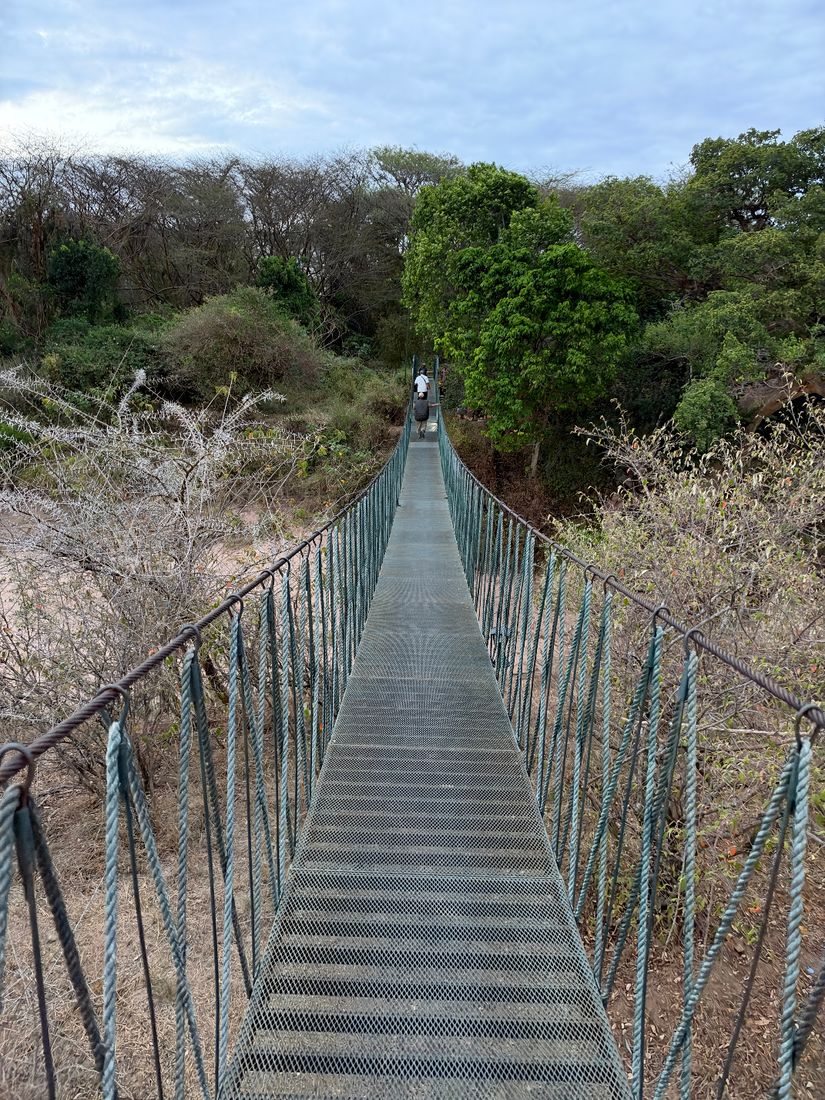 Chapter 12: Our First Safari